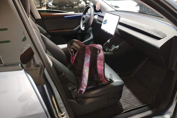 Used Tesla Model Y 2025 Rear-Wheel Drive First Edition Right Front Seat