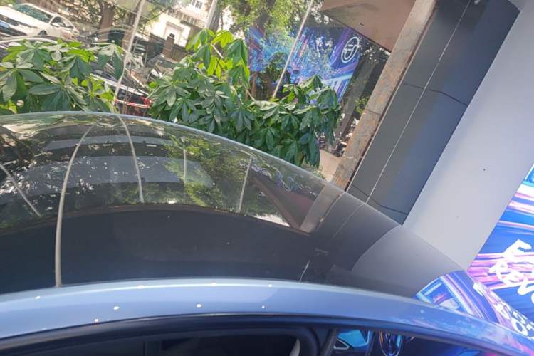 Used Tesla Model Y 2025 Rear-Wheel Drive First Edition Roof
