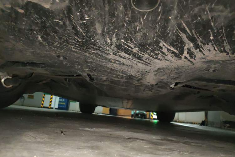 Used Tesla Model Y 2025 Long-Range All-Wheel Drive First Edition Chassis Rear