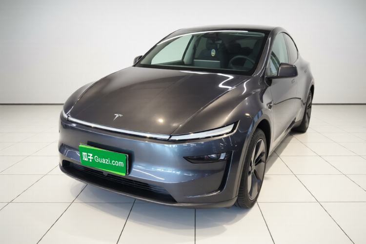 Tesla Model Y 2025 Rear-Wheel-Drive Version