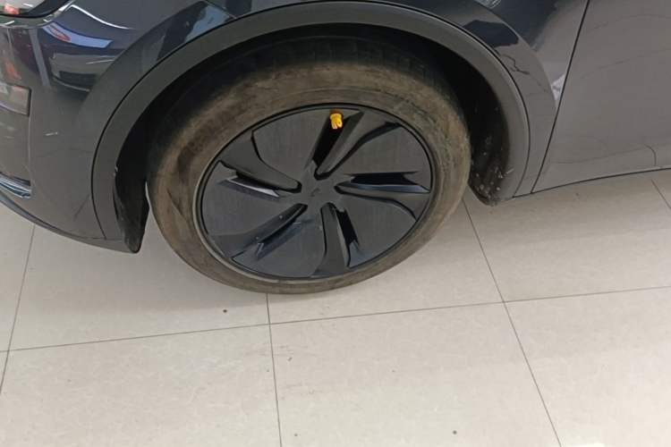Used Tesla Model Y 2025 Long-Range All-Wheel Drive First Edition Exterior 4