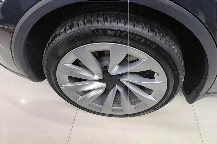 Used Tesla Model Y 2025 Rear-Wheel-Drive Version Exterior 5