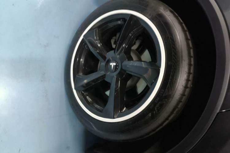 Used Tesla Model Y 2025 Rear-Wheel-Drive Version Exterior 5