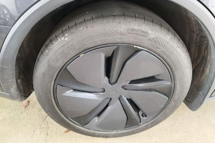 Used Tesla Model Y 2025 Rear-Wheel Drive First Edition Exterior 5