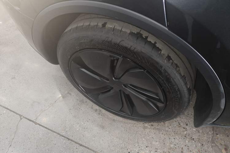 Used Tesla Model Y 2025 Rear-Wheel Drive First Edition Exterior 5