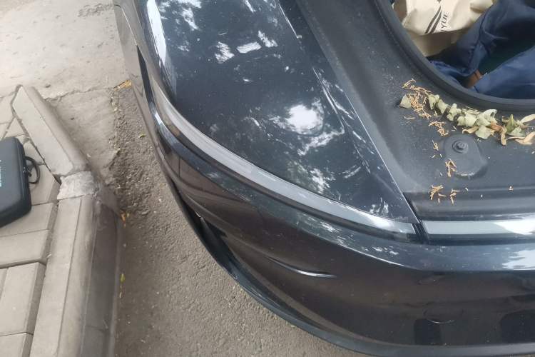Used Tesla Model Y 2025 Rear-Wheel Drive First Edition Exterior 6