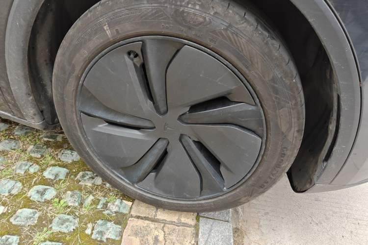 Used Tesla Model Y 2025 Rear-Wheel-Drive Version Exterior 7