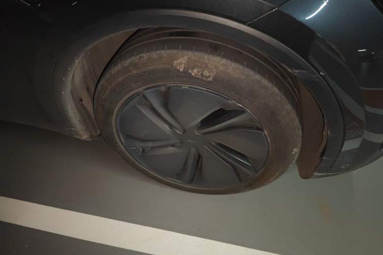 Used Tesla Model Y 2025 Rear-Wheel Drive First Edition Exterior 7