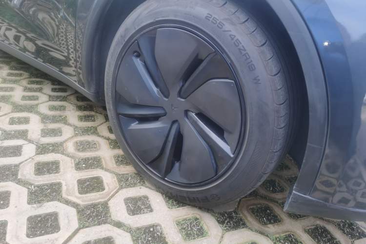 Used Tesla Model Y 2025 Rear-Wheel-Drive Version Exterior 7