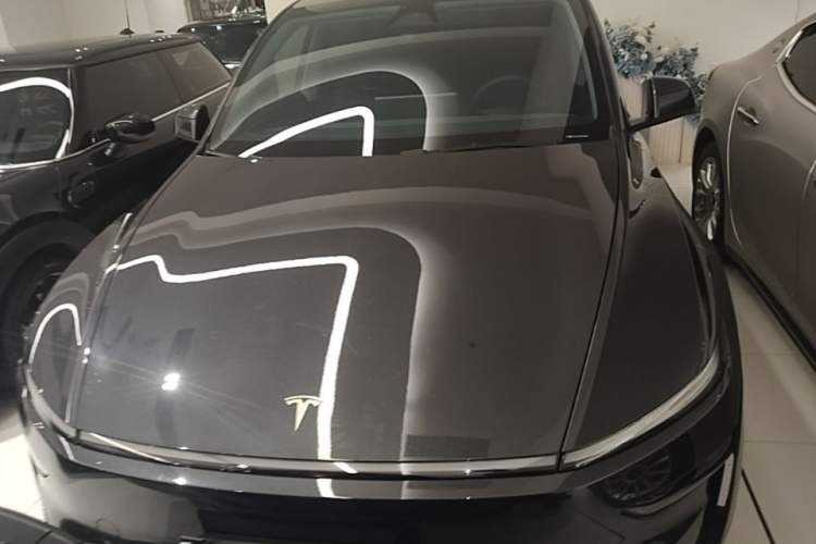 Used Tesla Model Y 2025 Long-Range All-Wheel Drive First Edition Front