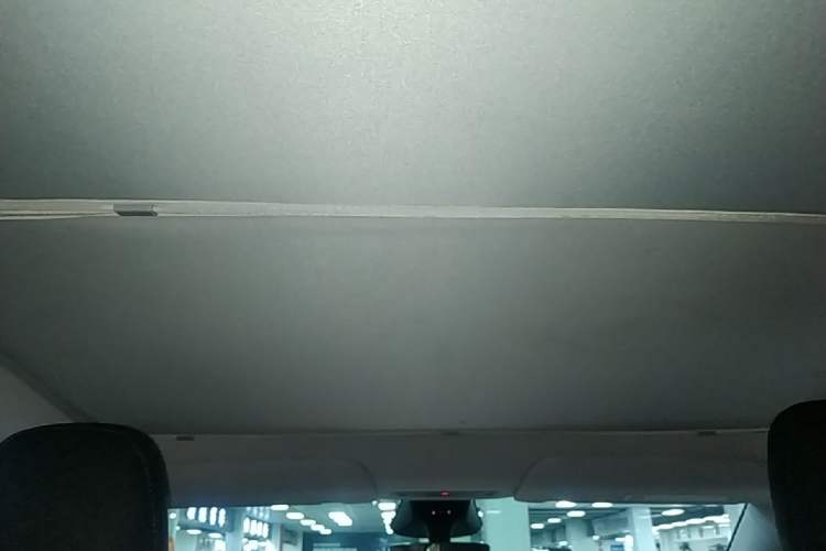 Used Tesla Model Y 2025 Rear-Wheel Drive First Edition Headliner
