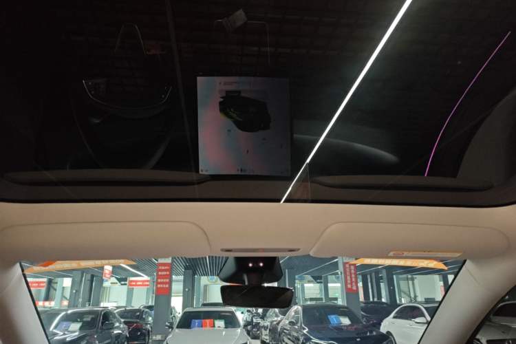 Used Tesla Model Y 2025 Rear-Wheel-Drive Version Headliner