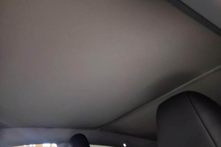 Used Tesla Model Y 2025 Long-Range All-Wheel-Drive Version Headliner