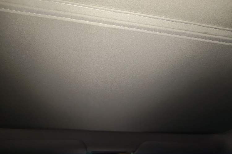 Used Tesla Model Y 2025 Rear-Wheel Drive First Edition Headliner