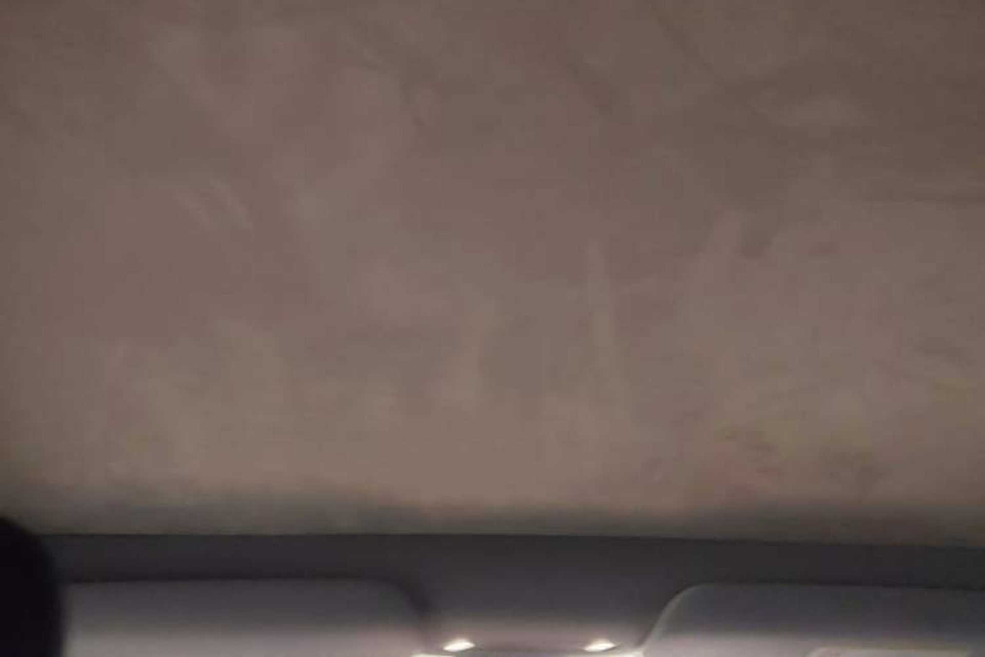 Used Tesla Model Y 2025 Long-Range All-Wheel Drive First Edition Headliner