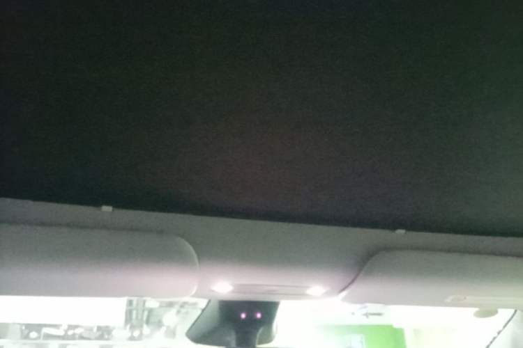 Used Tesla Model Y 2025 Long-Range All-Wheel Drive First Edition Headliner