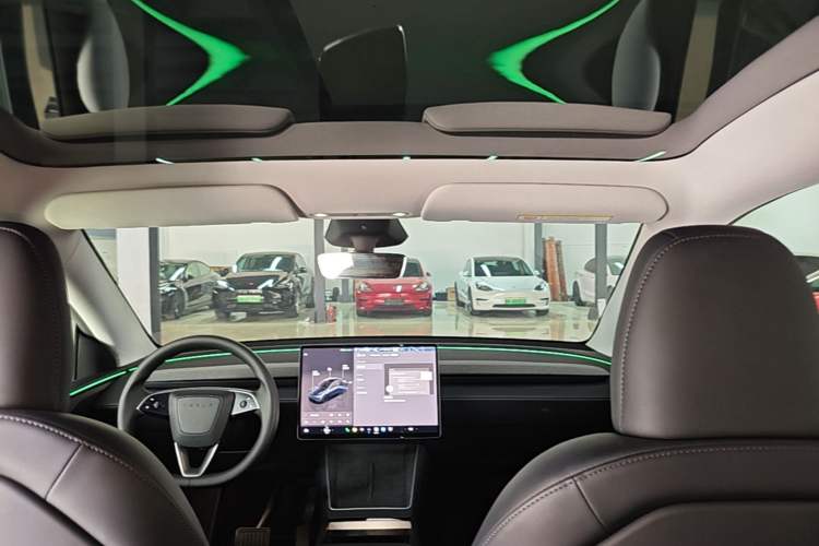 Used Tesla Model Y 2025 Long-Range All-Wheel-Drive Version Headliner
