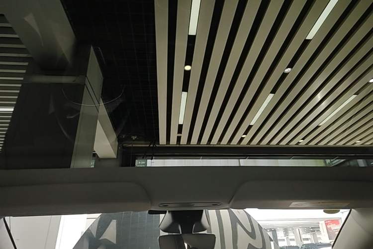 Used Tesla Model Y 2025 Rear-Wheel Drive First Edition Headliner