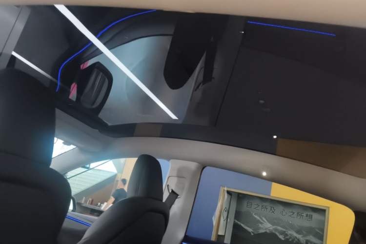 Used Tesla Model Y 2025 Long-Range All-Wheel-Drive Version Headliner