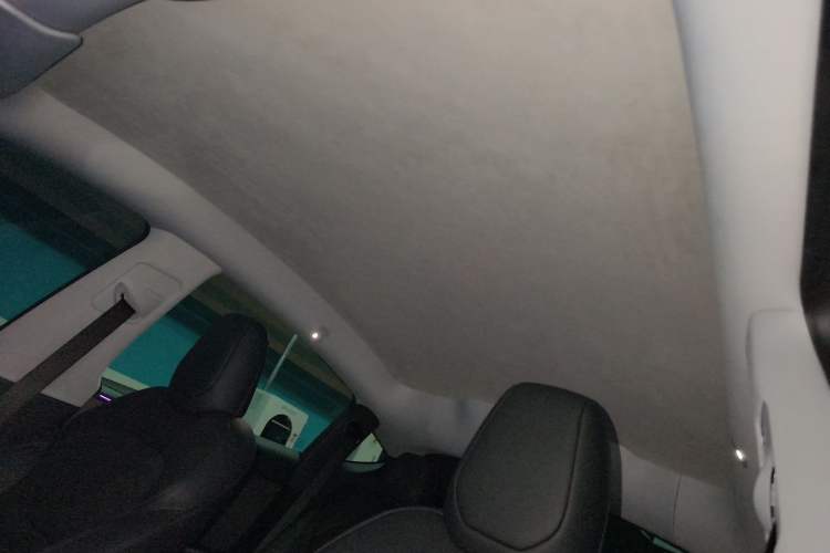 Used Tesla Model Y 2025 Long-Range All-Wheel-Drive Version Headliner