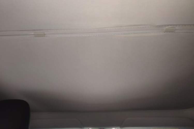 Used Tesla Model Y 2025 Rear-Wheel-Drive Version Headliner