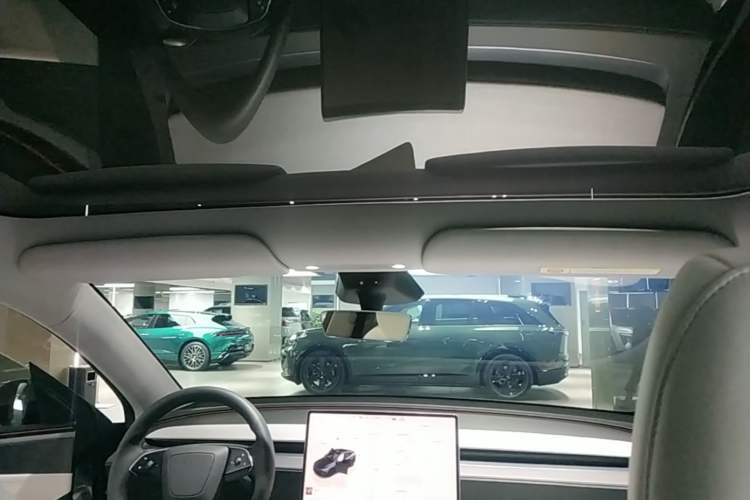 Used Tesla Model Y 2025 Long-Range All-Wheel-Drive Version Headliner