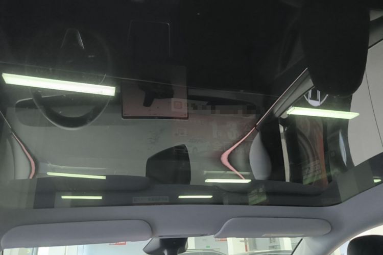 Used Tesla Model Y 2025 Rear-Wheel Drive First Edition Headliner