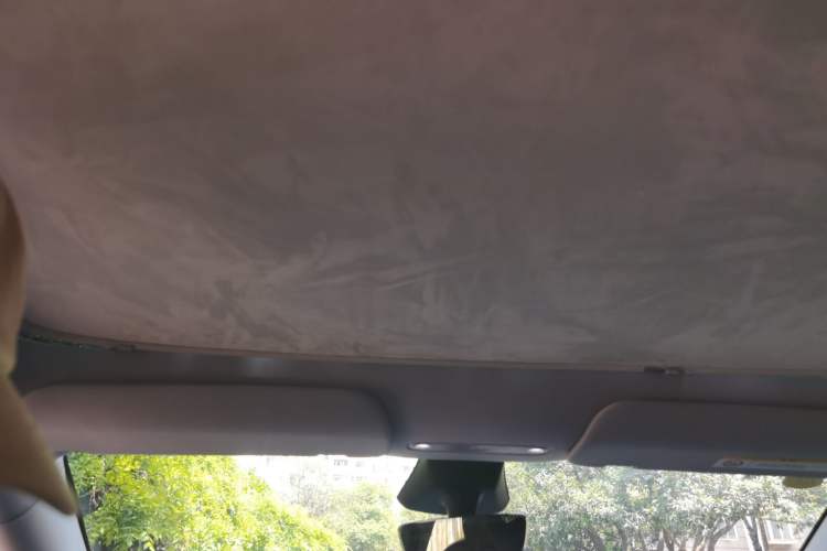 Used Tesla Model Y 2025 Long-Range All-Wheel-Drive Version Headliner