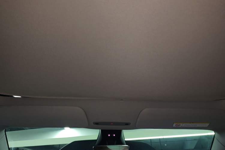 Used Tesla Model Y 2025 Long-Range All-Wheel Drive First Edition Headliner