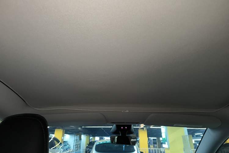 Used Tesla Model Y 2025 Long-Range All-Wheel Drive First Edition Headliner
