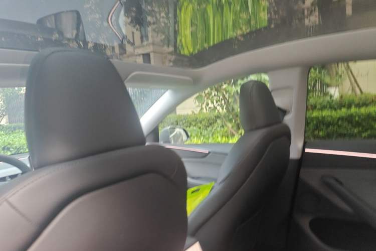 Used Tesla Model Y 2025 Rear-Wheel-Drive Version Headliner