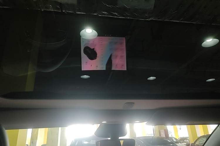 Used Tesla Model Y 2025 Long-Range All-Wheel Drive First Edition Headliner