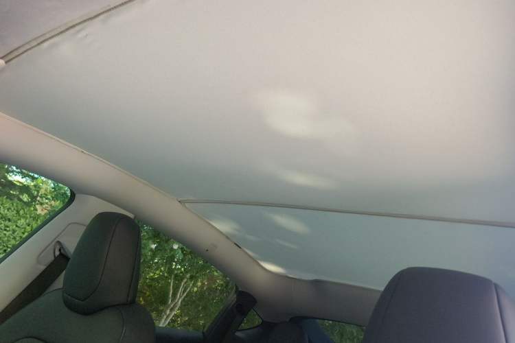 Used Tesla Model Y 2025 Rear-Wheel-Drive Version Headliner
