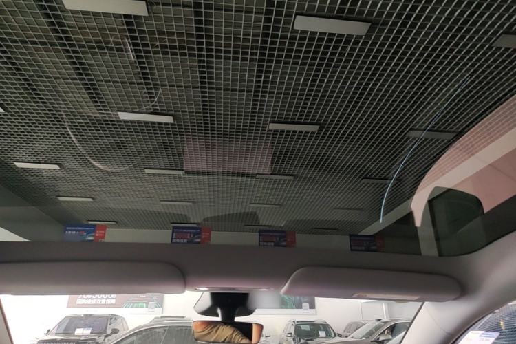 Used Tesla Model Y 2025 Long-Range All-Wheel-Drive Version Headliner