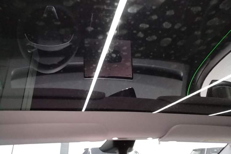 Used Tesla Model Y 2025 Rear-Wheel Drive First Edition Headliner