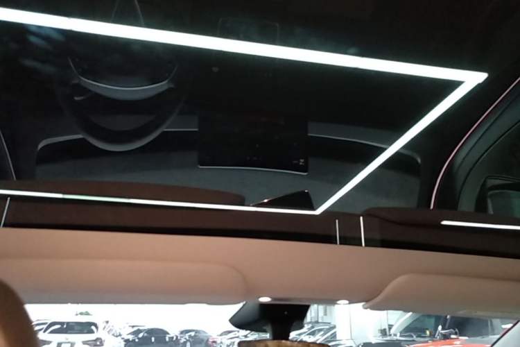 Used Tesla Model Y 2025 Rear-Wheel Drive First Edition Headliner