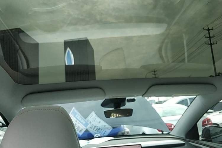 Used Tesla Model Y 2025 Long-Range All-Wheel-Drive Version Headliner