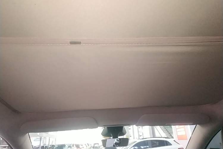 Used Tesla Model Y 2025 Rear-Wheel-Drive Version Headliner