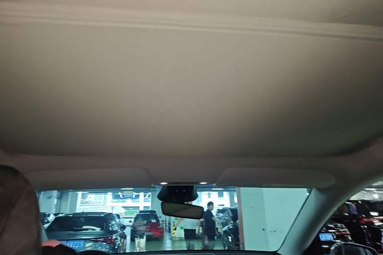 Used Tesla Model Y 2025 Rear-Wheel Drive First Edition Headliner