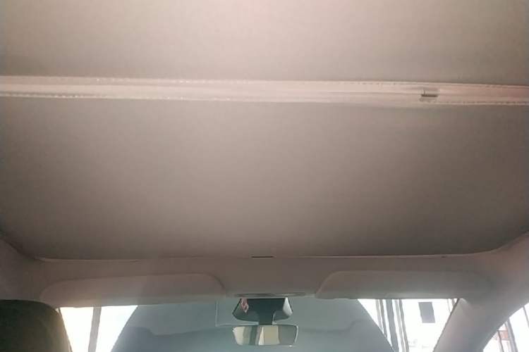 Used Tesla Model Y 2025 Rear-Wheel Drive First Edition Headliner