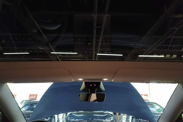 Used Tesla Model Y 2025 Rear-Wheel Drive First Edition Headliner