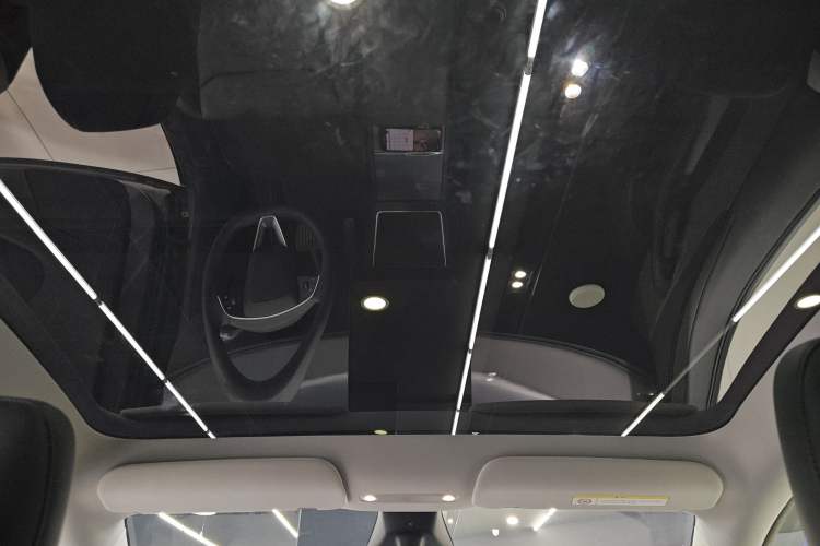 Used Tesla Model Y 2025 Rear-Wheel-Drive Version Headliner