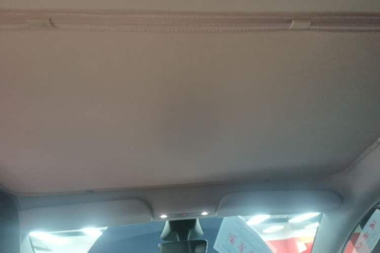 Used Tesla Model Y 2025 Rear-Wheel-Drive Version Headliner