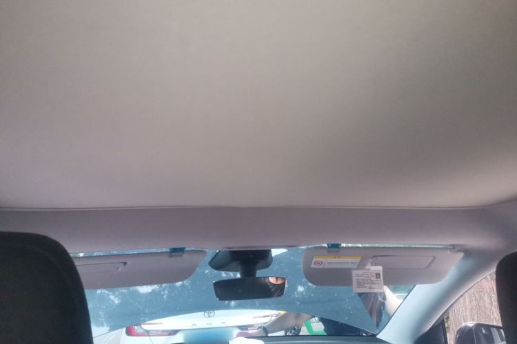 Used Tesla Model Y 2025 Rear-Wheel Drive First Edition Headliner