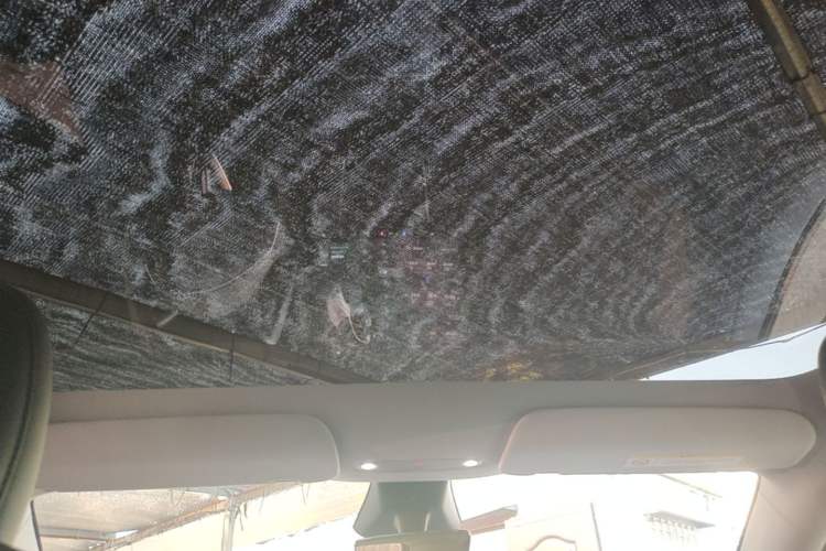 Used Tesla Model Y 2025 Rear-Wheel-Drive Version Headliner