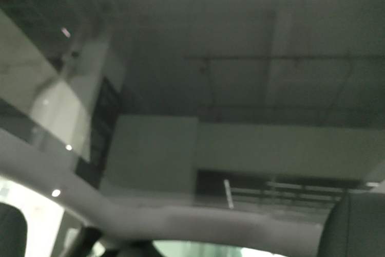 Used Tesla Model Y 2025 Rear-Wheel Drive First Edition Headliner