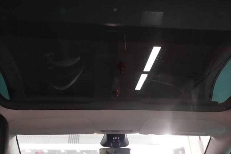Used Tesla Model Y 2025 Rear-Wheel Drive First Edition Headliner