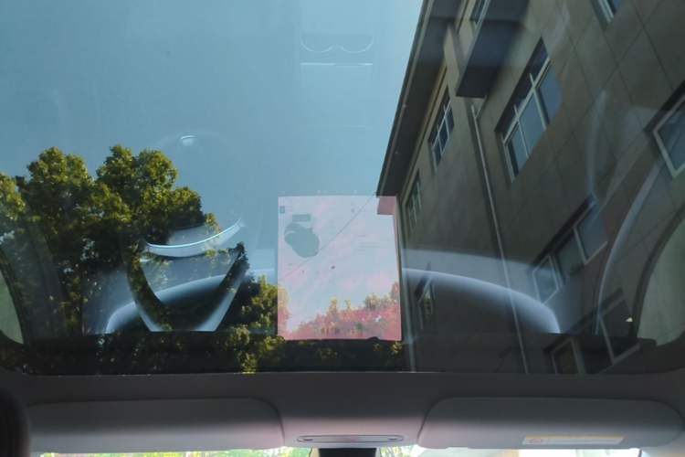 Used Tesla Model Y 2025 Rear-Wheel Drive First Edition Headliner