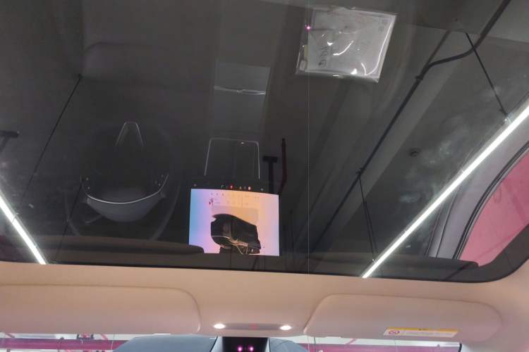 Used Tesla Model Y 2025 Long-Range All-Wheel Drive First Edition Headliner