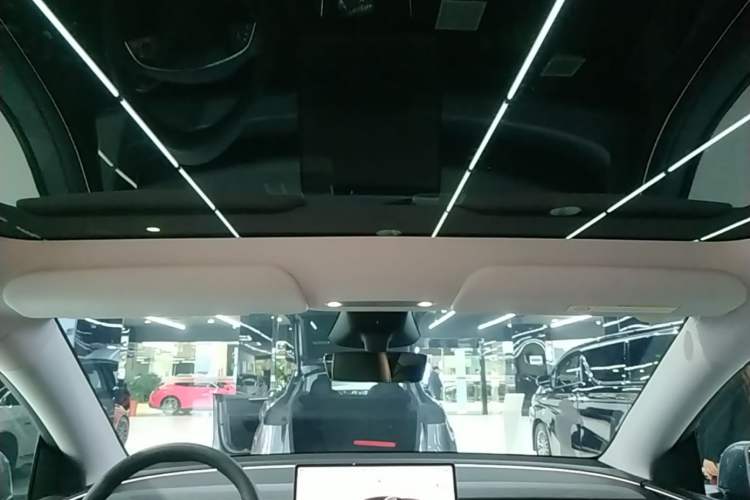 Used Tesla Model Y 2025 Rear-Wheel-Drive Version Headliner